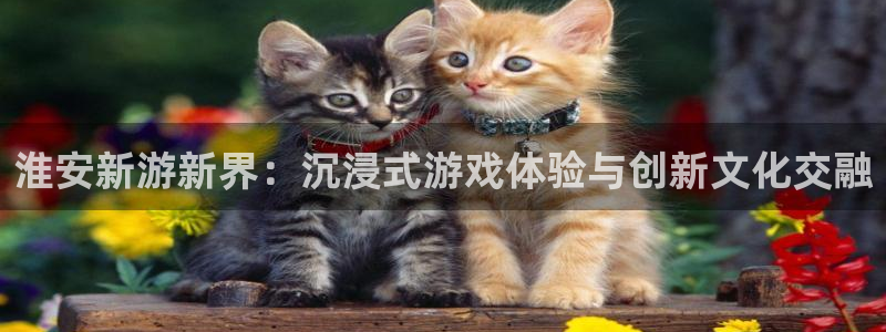 恩佐娱乐平台正规吗可靠吗：淮安新游新界：沉浸式游戏体验与创新