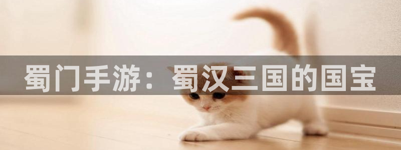 恩佐娱乐手机版最新功能介绍视频：蜀门手游：蜀汉三国的国宝