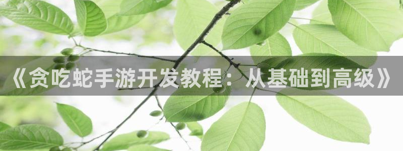 恩佐娱乐平台正规吗知乎：《贪吃蛇手游开发教程：从基础到高级》