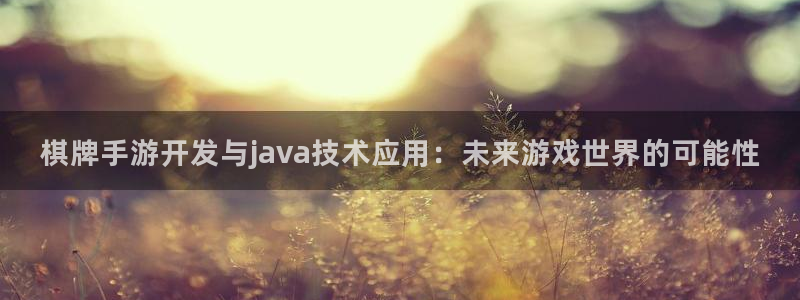 恩佐娱乐注册：棋牌手游开发与java技术应用：未来游戏世界的