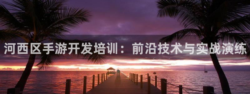 恩佐娱乐1：河西区手游开发培训：前沿技术与实战演练