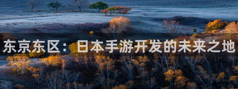 恩佐娱乐官方注册：东京东区：日本手游开发的未来之地