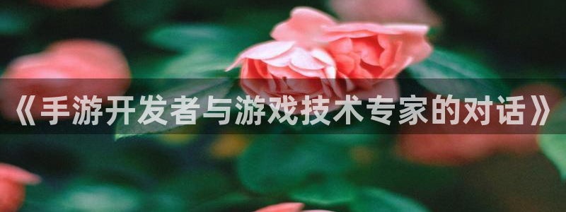 恩佐娱乐注册：《手游开发者与游戏技术专家的对话》
