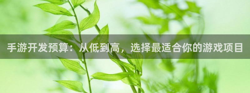 恩佐娱乐注册：手游开发预算：从低到高，选择最适合你的游戏项目