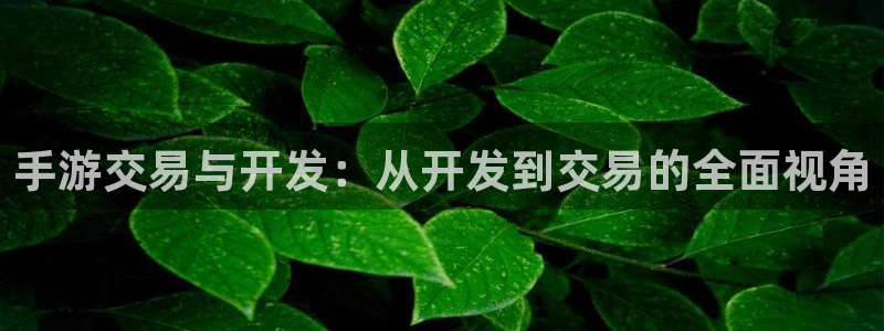 恩佐娱乐手机登录：手游交易与开发：从开发到交易的全面视角
