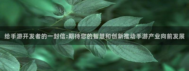 恩佐娱乐平台正规吗知乎：给手游开发者的一封信:期待您的智慧和